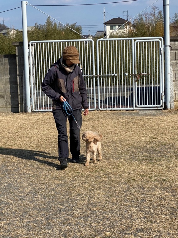 高松市犬のしつけ・訓練は川西警察犬訓練所へ